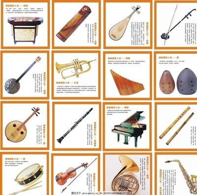 世界樂器博覽 揚(yáng)琴、古箏、小號與琵琶的藝術(shù)魅力